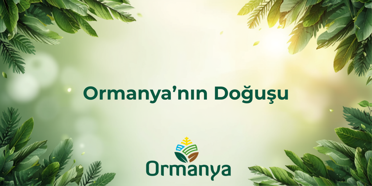 Ormanya Nasıl Doğdu? Kocaeli Topraklarından Dünyaya Uzanan Bir Marka Hikâyesi