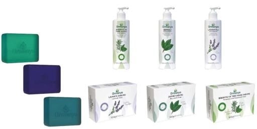 SOAPS