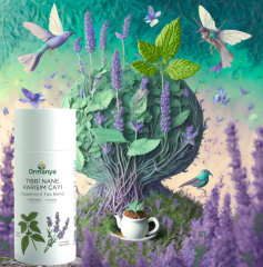 TIBBİ NANE KARIŞIM ÇAYI - 50 gr