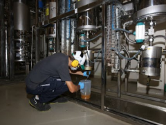 Biberiye Özlü Şampuan 400 ml - Alkol-SLS-SLES İçermez