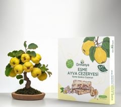 EŞME AYVA CEZERYESİ (450 GR)