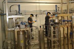 BİBERİYE CO2 TOZ EKSTRAKTI (50g)