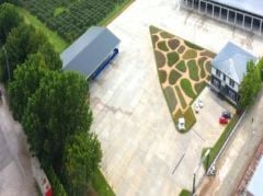 LAVANTA UÇUCU YAĞI- 10 ml (% 100 saf ve doğal)