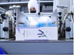 LAVANTA KOLONYASI - 180 ml