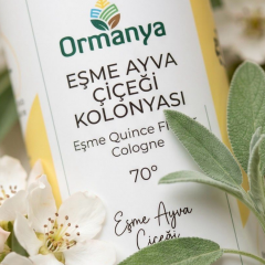 EŞME AYVA ÇİÇEĞİ KOLONYASI - 180 ML
