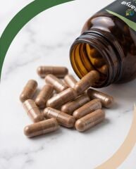 BİBERİYE EKSTRESİ İÇEREN TAKVİYE EDİCİ GIDA- 400 MG