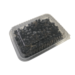 ARONYA MEYVESİ (500 g)