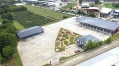 Kurutulmuş Dökme Biberiye - 1 Kg