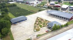 Kurutulmuş Dökme Tıbbi Nane - 1 kg