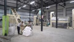 Kurutulmuş Dökme Tıbbi Nane - 1 kg