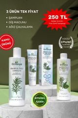 3'lü Set Ürün En Beğenilen Ürünler ★ Bitkisel Doğal Yağlar İçeren Kozmetik Ürünler (Şampuan Diş Macunu Ağız Bakım)